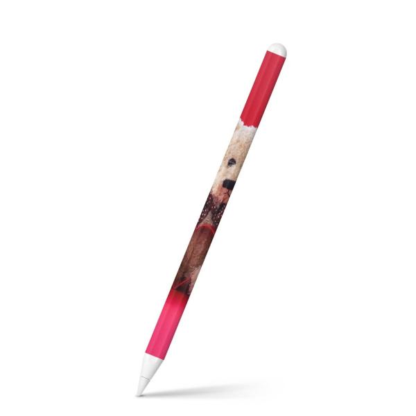 Apple Pencil 第2世代 専用スキンシール アップル アップルペンシル iPad Pro ApplePen フィルム ステッカー  写真　ぬいぐるみ　テディベア 006350