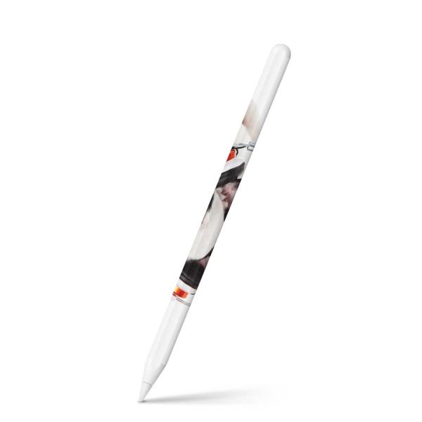 Apple Pencil 2 pXLV[ Abv AbvyV iPad Pro ApplePen tB XebJ[  ʐ^@@ 006360