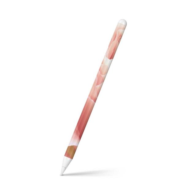 Apple Pencil 2 pXLV[ Abv AbvyV iPad Pro ApplePen tB XebJ[  ʐ^@ԁ@t[ 006518