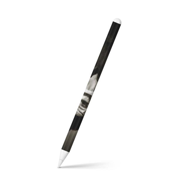 Apple Pencil 2 pXLV[ Abv AbvyV iPad Pro ApplePen tB XebJ[  ʐ^@l@mN 006593