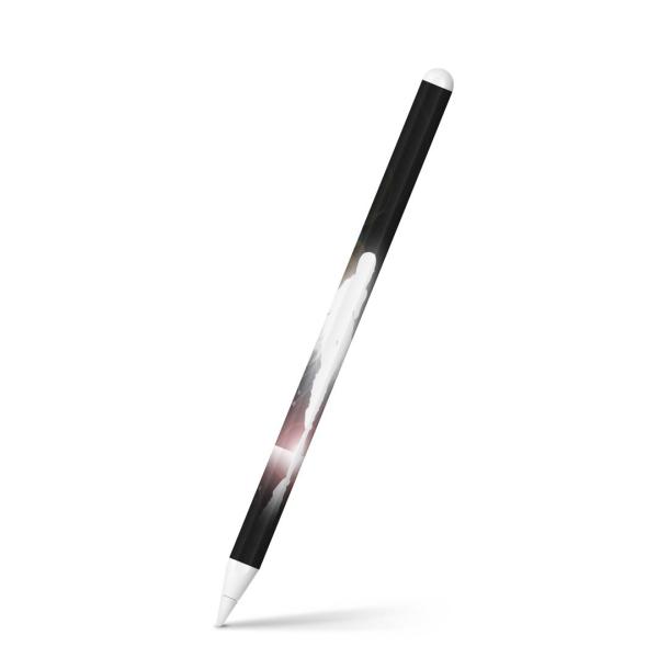 Apple Pencil 2 pXLV[ Abv AbvyV iPad Pro ApplePen tB XebJ[  d@l 006674