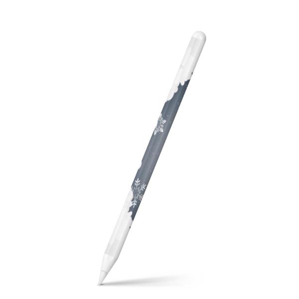 Apple Pencil 2 pXLV[ Abv AbvyV iPad Pro ApplePen tB XebJ[  NX}X@T^@ 006755
