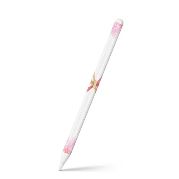 Apple Pencil 2 pXLV[ Abv AbvyV iPad Pro ApplePen tB XebJ[  ԁ@t[ 006982