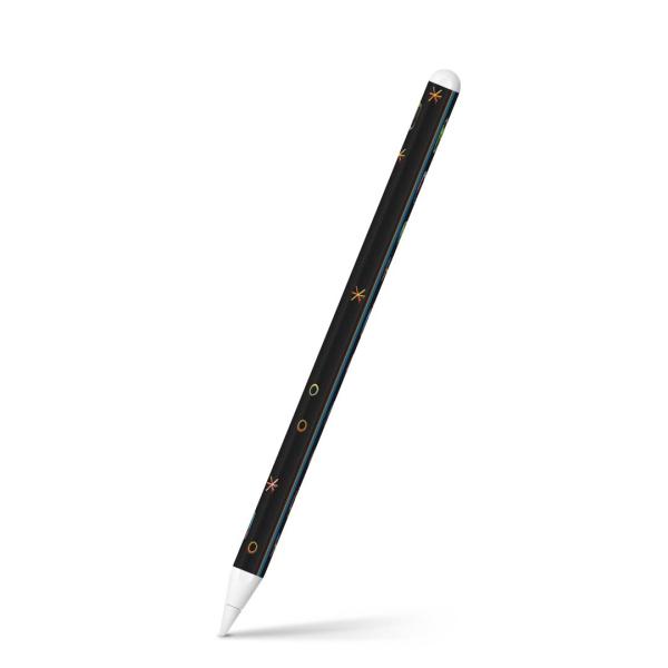 Apple Pencil 2 pXLV[ Abv AbvyV iPad Pro ApplePen tB XebJ[  ݕ@JNe@Jt@CXg 007301
