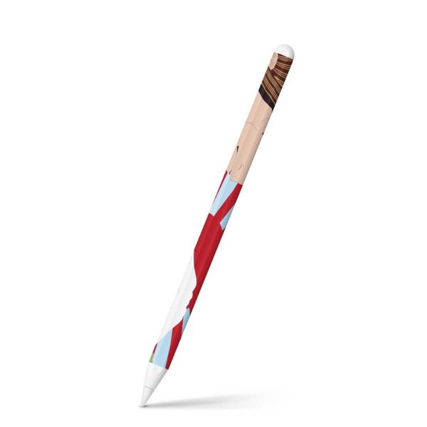 Apple Pencil 2 pXLV[ Abv AbvyV iPad Pro ApplePen tB XebJ[  a@a@G@xmR 007394