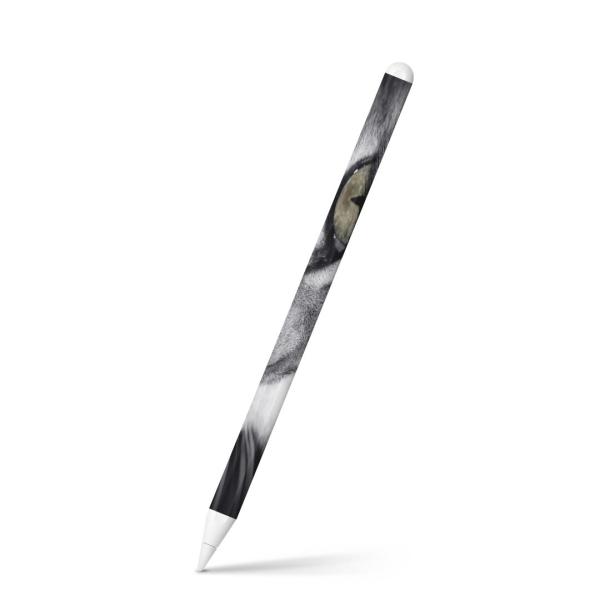 Apple Pencil 2 pXLV[ Abv AbvyV iPad Pro ApplePen tB XebJ[  ʐ^@L@˂@mN 007896