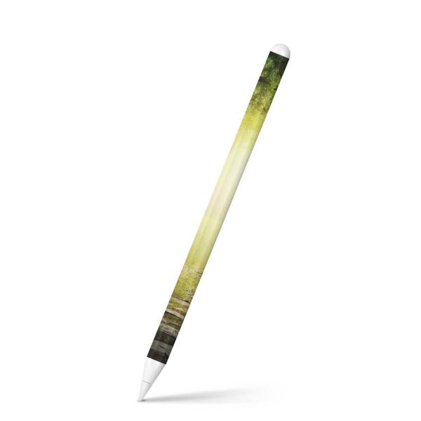 Apple Pencil 2 pXLV[ Abv AbvyV iPad Pro ApplePen tB XebJ[  X@i@CXg@΁@O[@A 007948