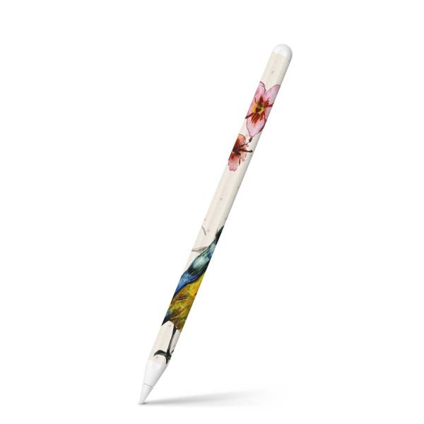Apple Pencil 2 pXLV[ Abv AbvyV iPad Pro ApplePen tB XebJ[  ԁ@t[@ʁ@sN@ 007971
