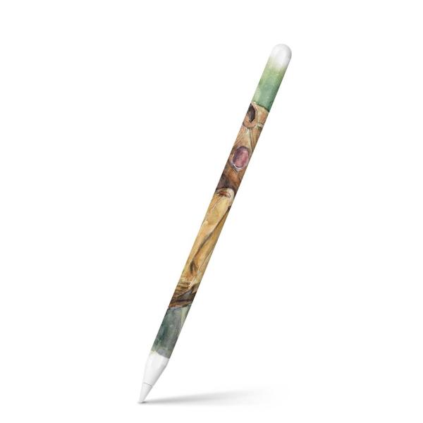 Apple Pencil 2 pXLV[ Abv AbvyV iPad Pro ApplePen tB XebJ[  CXg@ʁ@O[u@싅 008065