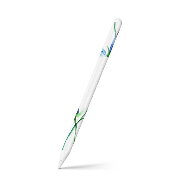 Apple Pencil 2 pXLV[ Abv AbvyV iPad Pro ApplePen tB XebJ[  ԁ@t[@ʁ@@u[ 008096