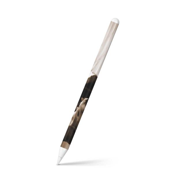 Apple Pencil 2 pXLV[ Abv AbvyV iPad Pro ApplePen tB XebJ[  ʐ^@ZsA@ 008194