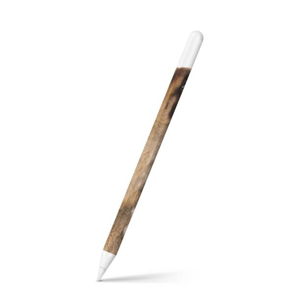 Apple Pencil 2 pXLV[ Abv AbvyV iPad Pro ApplePen tB XebJ[  ʐ^@@L 008364