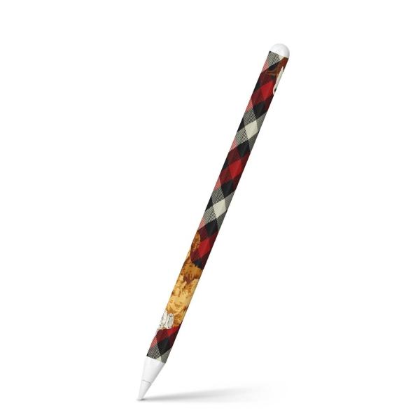 Apple Pencil 2 pXLV[ Abv AbvyV iPad Pro ApplePen tB XebJ[  ԁ@bh@`FbN@ 008724