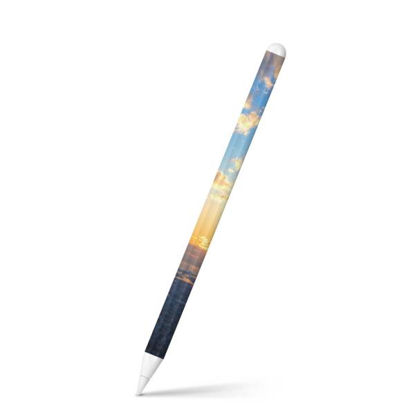 Apple Pencil 2 pXLV[ Abv AbvyV iPad Pro ApplePen tB XebJ[  i@@ʐ^ 009609