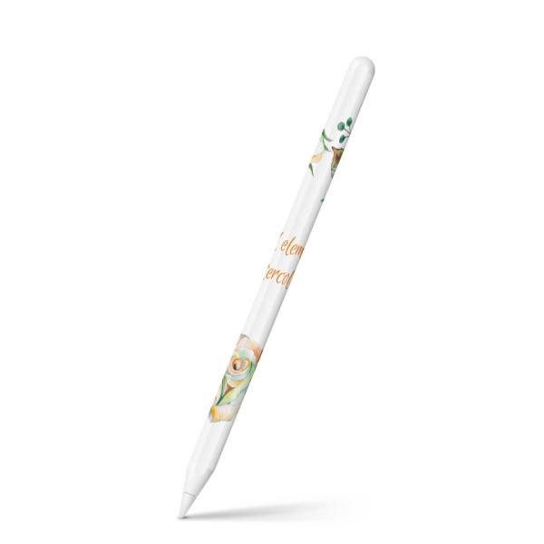 Apple Pencil 2 pXLV[ Abv AbvyV iPad Pro ApplePen tB XebJ[  t[@p@ 009646