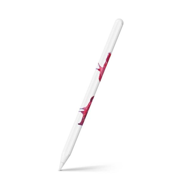 Apple Pencil 2 pXLV[ Abv AbvyV iPad Pro ApplePen tB XebJ[  t~S@sN@ 011411