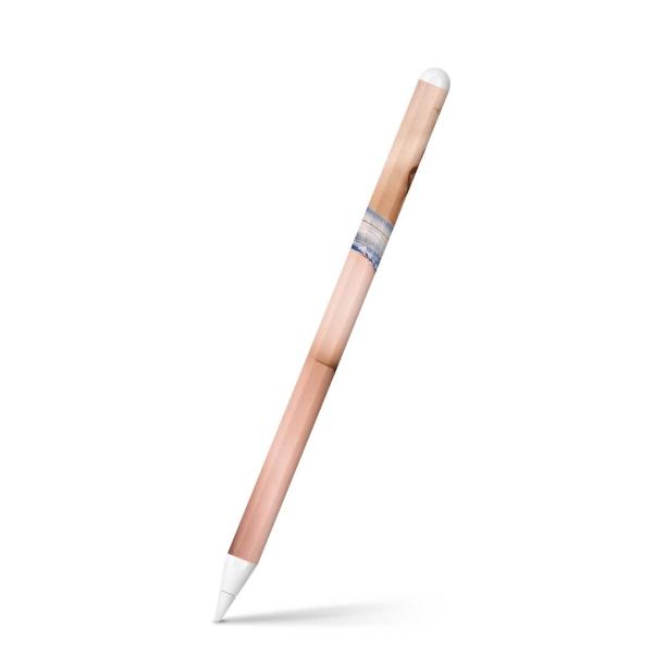 Apple Pencil 2 pXLV[ Abv AbvyV iPad Pro ApplePen tB XebJ[  @@ZNV[ 011537