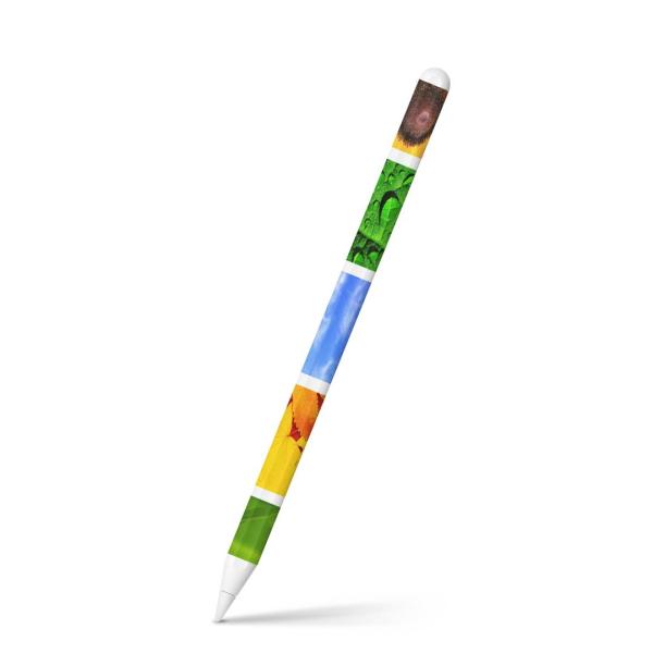 Apple Pencil ��2���� ��p�X�L���V�[�� �A�b�v�� �A�b�v���y���V�� iPad Pro ApplePen �t�B���� �X�e�b�J�[  �ā@�Ђ܂��@�� 014084