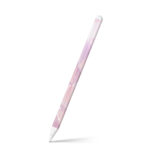 Apple Pencil 2 pXLV[ Abv AbvyV iPad Pro ApplePen tB XebJ[  ͗l@sN 014147