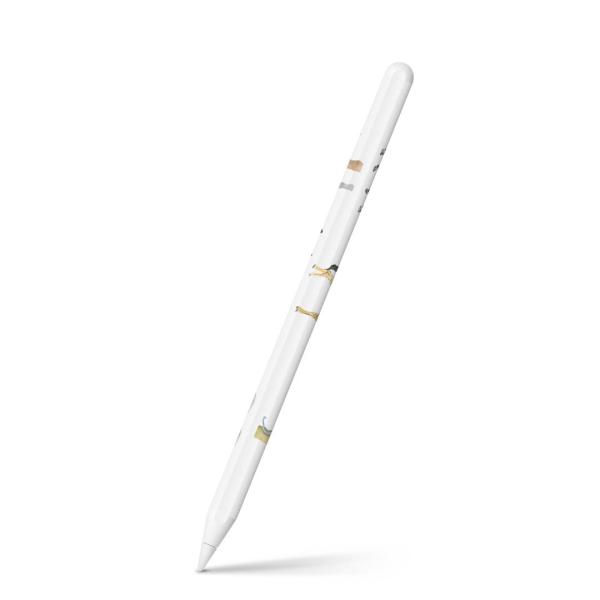 Apple Pencil 2 pXLV[ Abv AbvyV iPad Pro ApplePen tB XebJ[  Tt@@@Aj} 014169