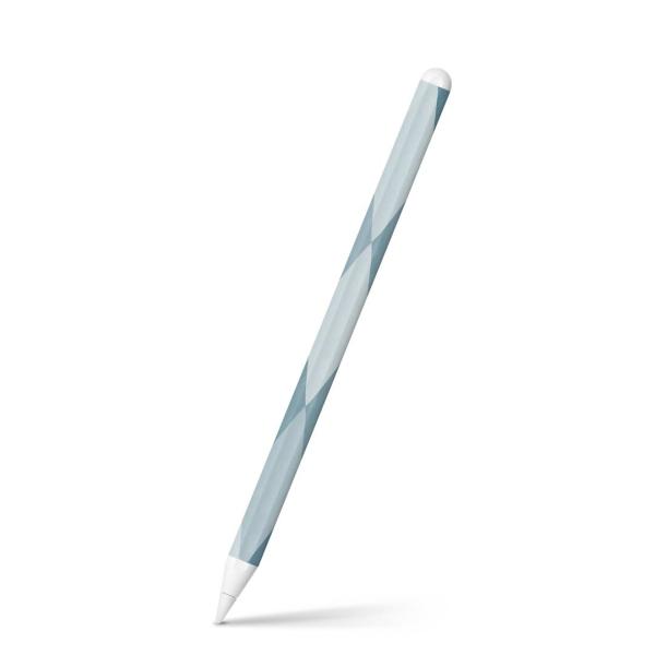 Apple Pencil 2 pXLV[ Abv AbvyV iPad Pro ApplePen tB XebJ[  ͗l@A[KC 014378