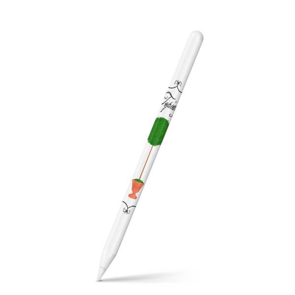 Apple Pencil 2 pXLV[ Abv AbvyV iPad Pro ApplePen tB XebJ[  A@K[fjO 014423