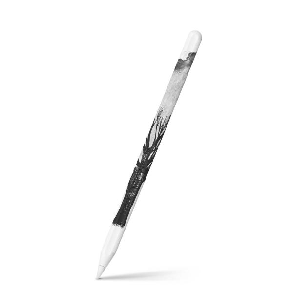 Apple Pencil 2 pXLV[ Abv AbvyV iPad Pro ApplePen tB XebJ[  ؁@CXg@mN 014488