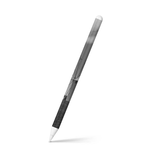 Apple Pencil 2 pXLV[ Abv AbvyV iPad Pro ApplePen tB XebJ[  mN@ԁ@ʐ^ 014531