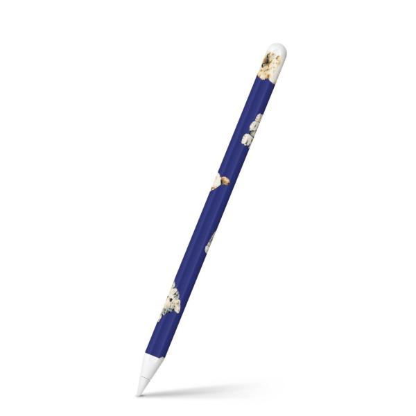 Apple Pencil 2 pXLV[ Abv AbvyV iPad Pro ApplePen tB XebJ[  L@@Aj} 014618