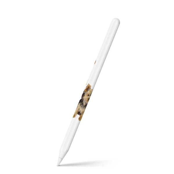 Apple Pencil 2 pXLV[ Abv AbvyV iPad Pro ApplePen tB XebJ[  @@Aj} 014619