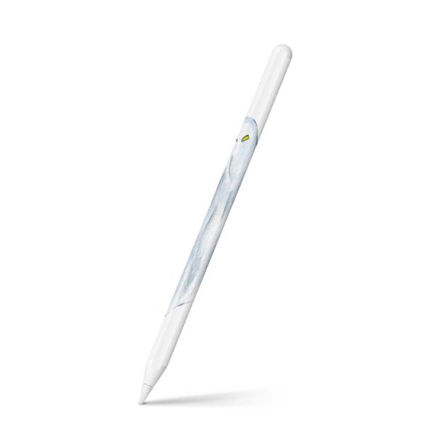 Apple Pencil 2 pXLV[ Abv AbvyV iPad Pro ApplePen tB XebJ[  nEB@΂ 014713