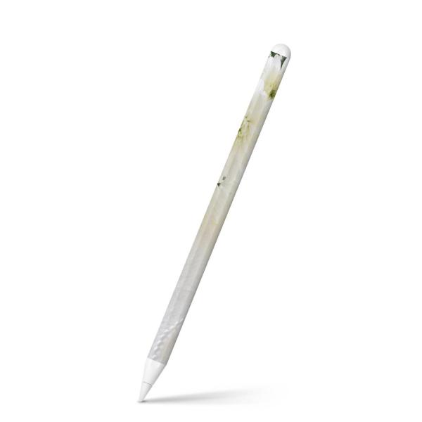 Apple Pencil 2 pXLV[ Abv AbvyV iPad Pro ApplePen tB XebJ[  ԁ@^@ 014861