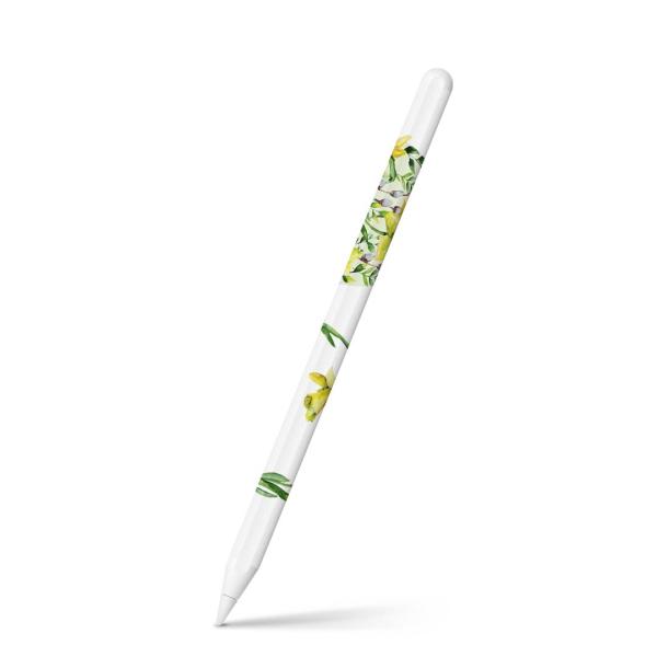 Apple Pencil 2 pXLV[ Abv AbvyV iPad Pro ApplePen tB XebJ[  ԁ@Ԃт@F 014895