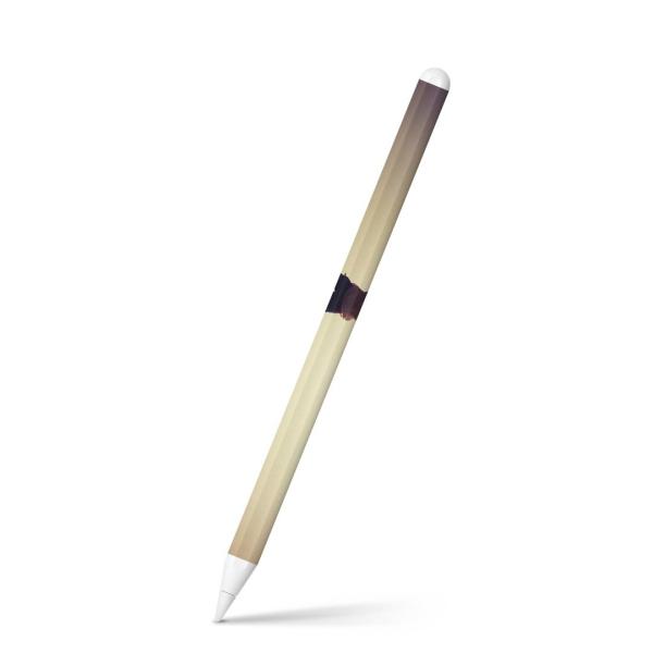 Apple Pencil 2 pXLV[ Abv AbvyV iPad Pro ApplePen tB XebJ[  R@iF@i 014928