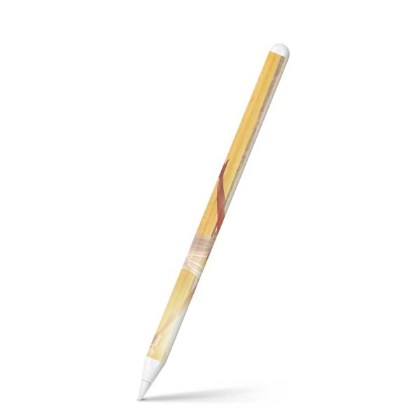 Apple Pencil 2 pXLV[ Abv AbvyV iPad Pro ApplePen tB XebJ[  l@̎q@iF@i 014983
