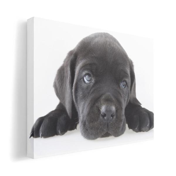 A[gpl G G  IׂTCY A1 A2 A3 A4 A5 6؂ `33 `45 000127 Aj}   t`uhbN _bNXtg