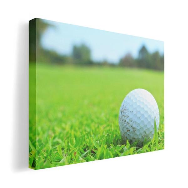 A[gpl G G  IׂTCY A1 A2 A3 A4 A5 6؂ `33 `45 000255 X|[c St@Ő@X|[c