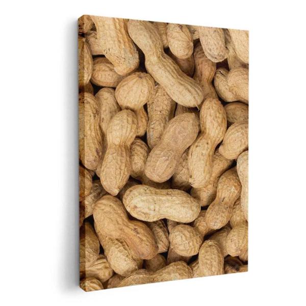 A[gpl G G  IׂTCY A1 A2 A3 A4 A5 6؂ `33 `45 000276 ʐ^Ei j[N s[ic@Ԑ@Hו