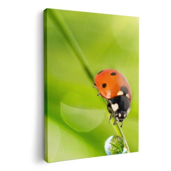 A[gpl G G  IׂTCY A1 A2 A3 A4 A5 6؂ `33 `45 000820 Aj} ĂƂ@