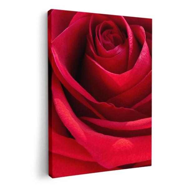 A[gpl G G  IׂTCY A1 A2 A3 A4 A5 6؂ `33 `45 000825 u[ KN@