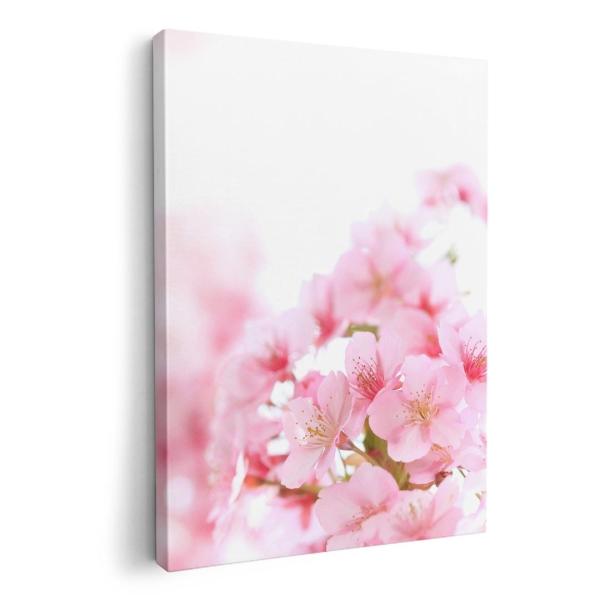 A[gpl G G  IׂTCY A1 A2 A3 A4 A5 6؂ `33 `45 000886 ʐ^Ei t[ @