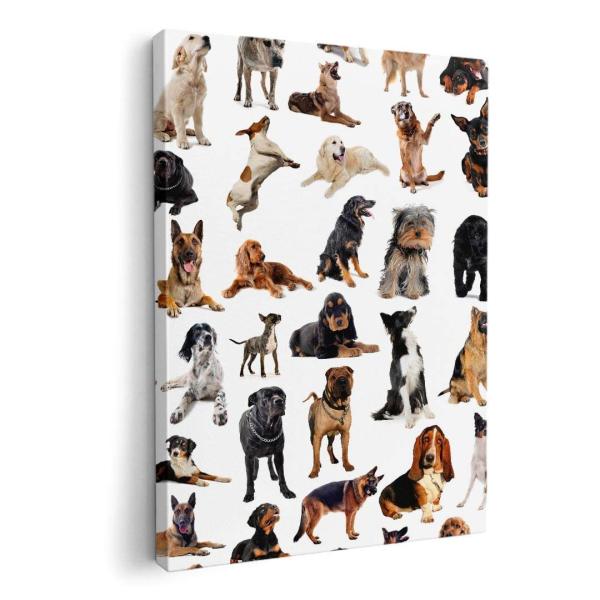 A[gpl G G  IׂTCY A1 A2 A3 A4 A5 6؂ `33 `45 000911 Aj} @