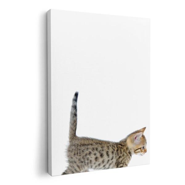 A[gpl G G  IׂTCY A1 A2 A3 A4 A5 6؂ `33 `45 000915 Aj} lR@qL