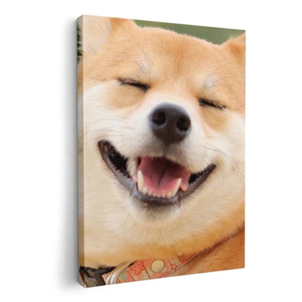 A[gpl G G  IׂTCY A1 A2 A3 A4 A5 6؂ `33 `45 000926 Aj} @Č