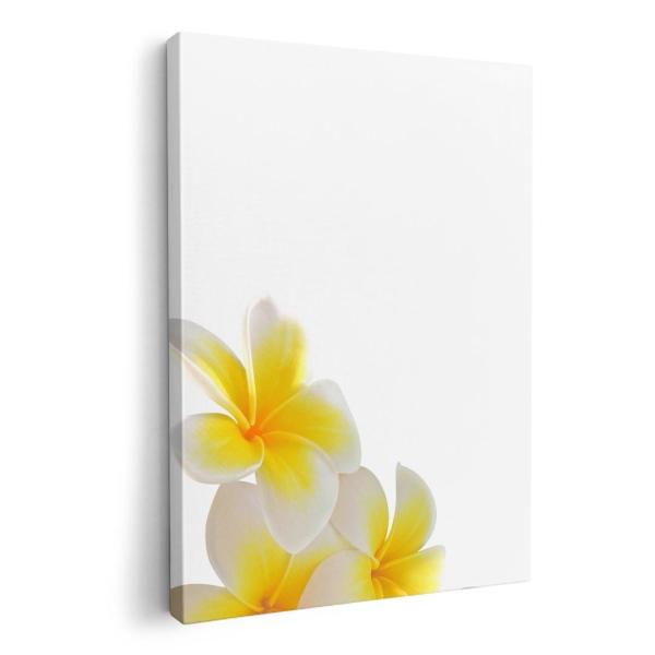 A[gpl G G  IׂTCY A1 A2 A3 A4 A5 6؂ `33 `45 001027 t[ ԁ@vA