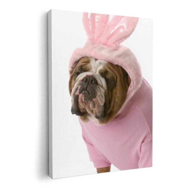 A[gpl G G  IׂTCY A1 A2 A3 A4 A5 6؂ `33 `45 001083 Aj} @