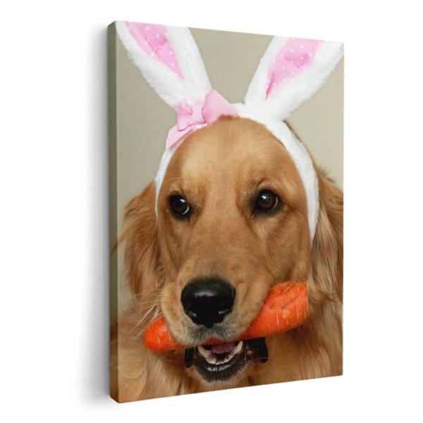 A[gpl G G  IׂTCY A1 A2 A3 A4 A5 6؂ `33 `45 001111 Aj} @S[f@