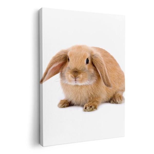 A[gpl G G  IׂTCY A1 A2 A3 A4 A5 6؂ `33 `45 001112 Aj} @