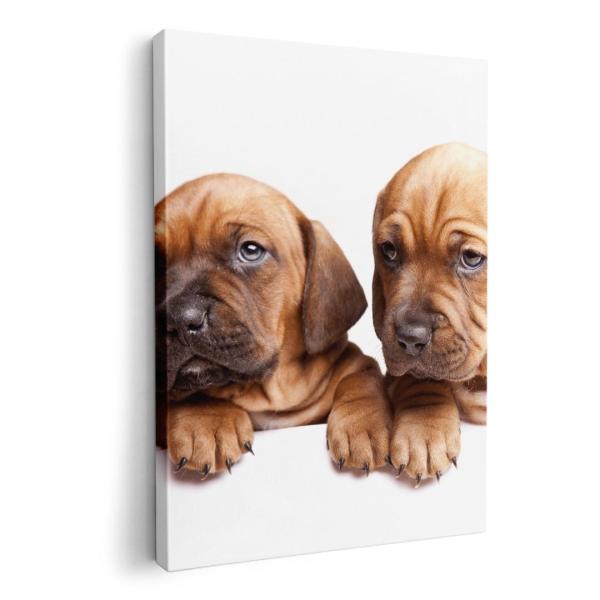 A[gpl G G  IׂTCY A1 A2 A3 A4 A5 6؂ `33 `45 001153 Aj} @