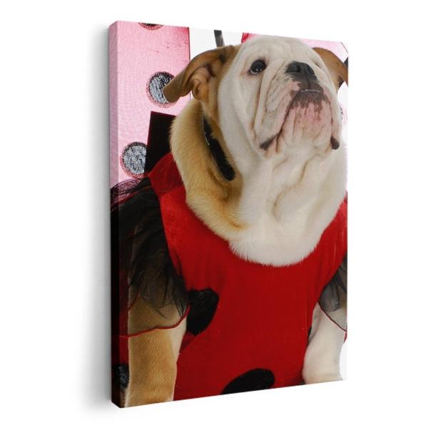 A[gpl G G  IׂTCY A1 A2 A3 A4 A5 6؂ `33 `45 001176 Aj} @ĂƂ